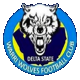 Team logo